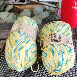 Multicolor Yarn Skeins